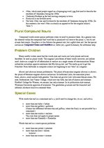 Konspekts 'Plural Nouns. All Forms', 3.