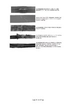 Referāts 'Darba aizsardzības instrukcija autoiekrāvēja vadītājam', 25.