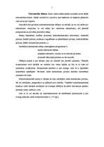 Referāts 'Makroekonomika un ekonomiskā politika', 5.