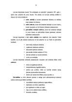 Referāts 'Makroekonomika un ekonomiskā politika', 33.