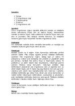 Konspekts 'Stafete vieglatlētikā', 2.