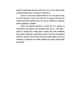 Eseja 'Cilvēktiesības – mani “par” un “pret” ', 2.