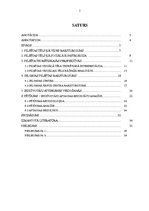 Diplomdarbs 'Iedzīvotāju attieksme pret Jelgavas vizuālo tēlu', 2.