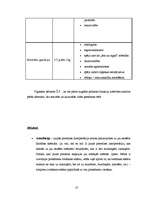 Referāts 'Žans Piažē', 10.