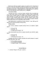 Eseja 'Vardarbība ģimenē', 5.