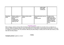 Prakses atskaite 'Prakses atskaite bērnudārzā', 7.