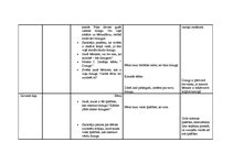 Prakses atskaite 'Prakses atskaite bērnudārzā', 13.