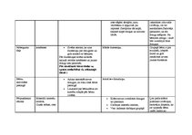 Prakses atskaite 'Prakses atskaite bērnudārzā', 15.