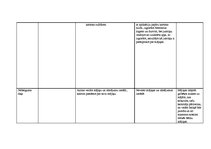 Prakses atskaite 'Prakses atskaite bērnudārzā', 25.