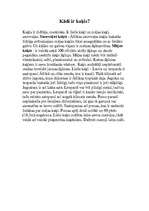 Referāts 'Zīdītāji - kaķi', 3.