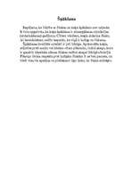 Referāts 'Zīdītāji - kaķi', 10.