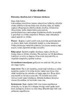 Referāts 'Zīdītāji - kaķi', 16.