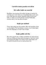 Referāts 'Zīdītāji - kaķi', 19.