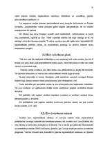 Referāts 'Eiro ieviešana Latvijā', 18.