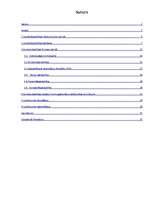 Referāts 'Uzņēmuma dibināšana un reģistrācija', 2.