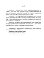 Referāts 'Uzņēmuma dibināšana un reģistrācija', 3.