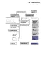 Referāts 'Uzņēmuma dibināšana un reģistrācija', 13.