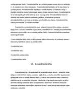 Referāts 'Uzņēmuma dibināšana un reģistrācija', 19.