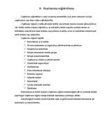 Referāts 'Uzņēmuma dibināšana un reģistrācija', 28.