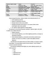 Referāts 'Uzņēmuma dibināšana un reģistrācija', 29.