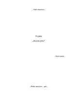 Biznesa plāns 'Biznesa plāns "Pērlīšu aproces"', 1.