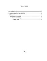 Biznesa plāns 'Biznesa plāns "Pērlīšu aproces"', 2.