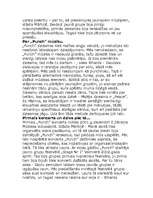 Konspekts 'Grupa "Punch"', 2.