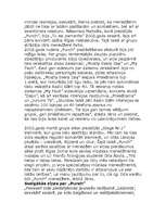 Konspekts 'Grupa "Punch"', 3.