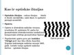Prezentācija 'Optiskās ilūzijas', 2.