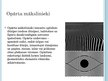 Prezentācija 'Optiskās ilūzijas', 3.