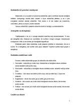 Referāts 'Radniecības dažādie aspekti: alianse, laulība, mīlestība', 2.