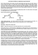 Konspekts 'Latvijas tiesību vēsture', 3.