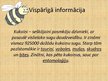 Prezentācija 'Kukaiņi', 2.