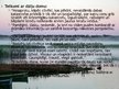 Prezentācija 'Aivars Kļavis "Es saucu, lai atsauktos"', 6.
