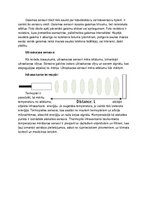 Konspekts 'Sensori vides inženierijā', 2.