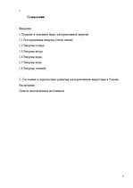 Referāts 'Альтернативные источники энергии и возможности их применения в России', 3.
