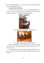 Referāts 'Ogres reģiona publisko bibliotēku bērnu nodaļas iekārtojuma atbilstība pirmsskol', 30.