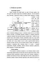 Referāts 'Gadījuma analīze:ilgstošs, bet "neredzams" konflikts nelielā kolektīvā', 3.