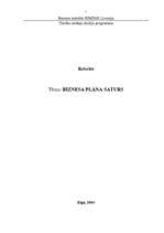 Referāts 'Biznesa plāna saturs', 1.