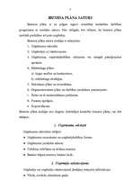 Referāts 'Biznesa plāna saturs', 3.