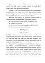 Referāts 'Biznesa plāna saturs', 5.