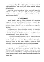 Referāts 'Biznesa plāna saturs', 8.