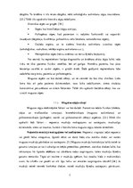 Referāts 'Biroja darba vides ietekme uz muguras sāpēm', 7.