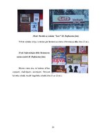 Referāts 'Viļakas novada Medņevas pagasta
lingvistiskā ainava', 33.