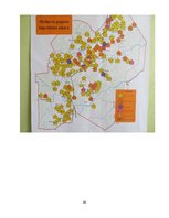 Referāts 'Viļakas novada Medņevas pagasta
lingvistiskā ainava', 45.