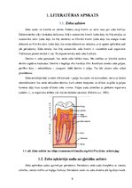 Referāts 'Mutes dobuma higiēna bērniem no 1. līdz 5.klasei', 6.