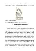 Referāts 'Mutes dobuma higiēna bērniem no 1. līdz 5.klasei', 7.