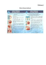 Referāts 'Mutes dobuma higiēna bērniem no 1. līdz 5.klasei', 19.