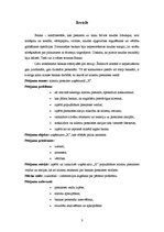 Referāts 'Klientu piesaiste uzņēmumā "X"', 3.