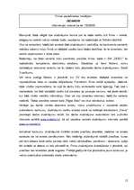 Referāts 'Personāla plānošana un atlases procesa pilnveidošana SIA "DEKO"', 12.